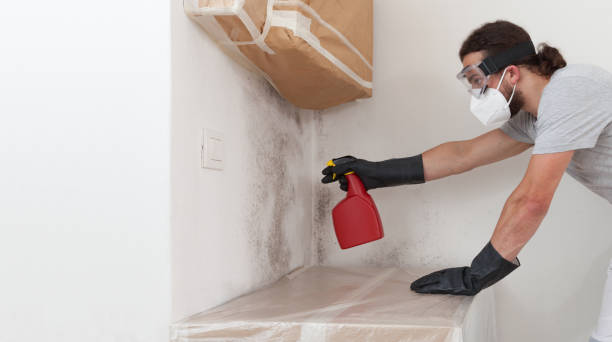 Professional Black Mold Remediation technician working in Gladstone, MI